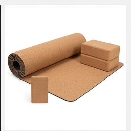Cork Yoga Mat + Blocks